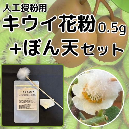 キウイ花粉0.5g・ぼん天セット : エスフルール - 通販 - Yahoo