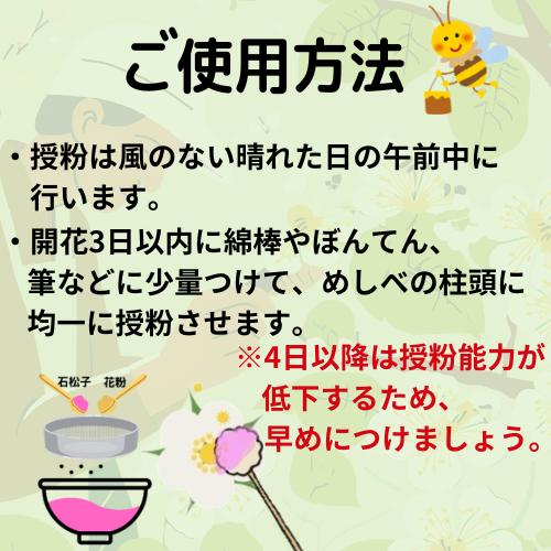キウイ花粉0.5g・ぼん天・染色石松子(ピンク)5gセット : エスフルール