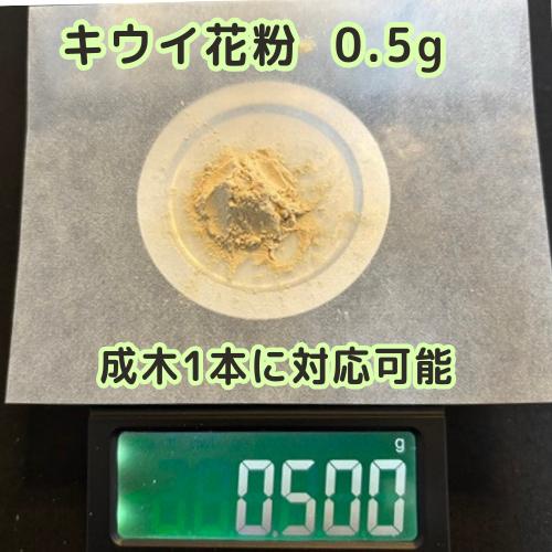 キウイ花粉0.5g・染色石松子（炭入り）5gセット : エスフルール - 通販