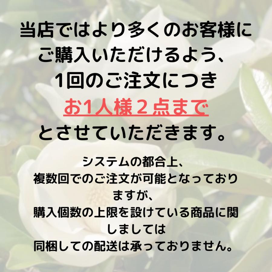 タイサンボク リトルジェム 3.5号ポット 挿し木苗 苗木 : エスフルール