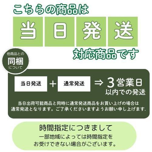 カシワバアジサイ スノークイーン 3.5号ポット 苗木 |  | 05