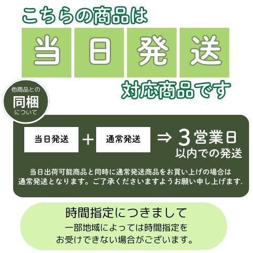 メラレウカ　コットンキャンディー　苗木　5号ポット　庭木 花木 オージープランツ ティーツリー |  | 04