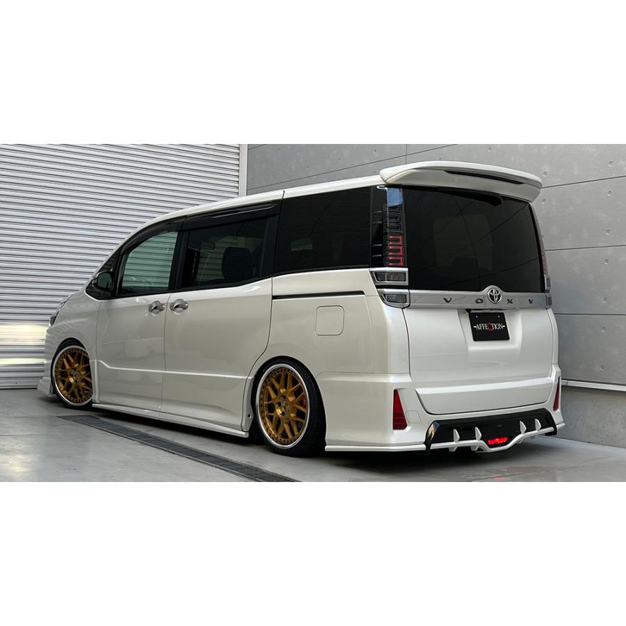 こ✖️は‼️ アフェクション　リアウィング AFFECTION/アフェクション（DESIRE/デザイア）【リアウイング