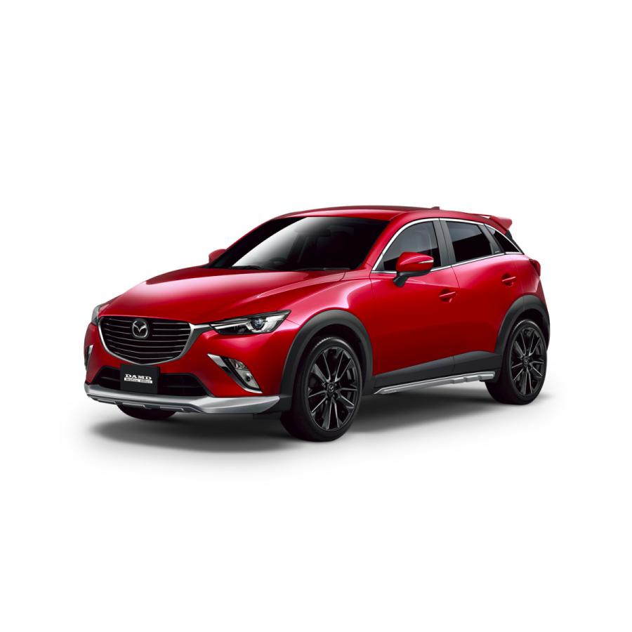 DAMD/ダムド CX-3 M-package【フロントプロテクター】 : SFT 