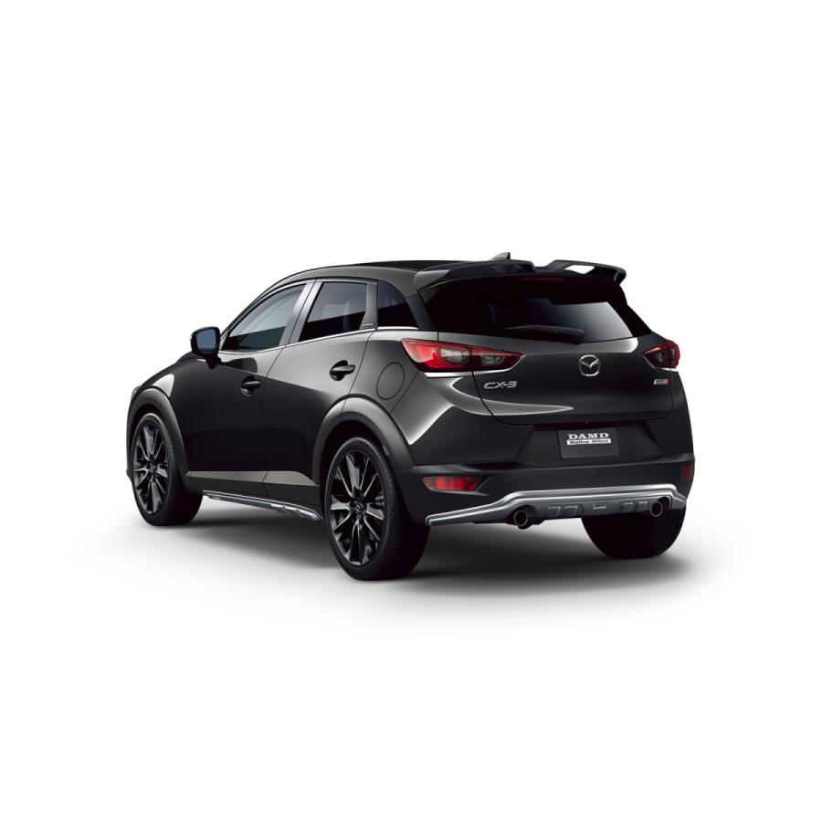 DAMD/ダムド CX-3 M-package【リアアンダープロテクター】 : SFT 