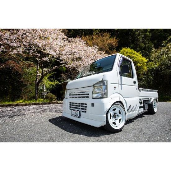 ESB/イーエスビー（CLS-VS)【バッドフェイスボンネット】キャリィ