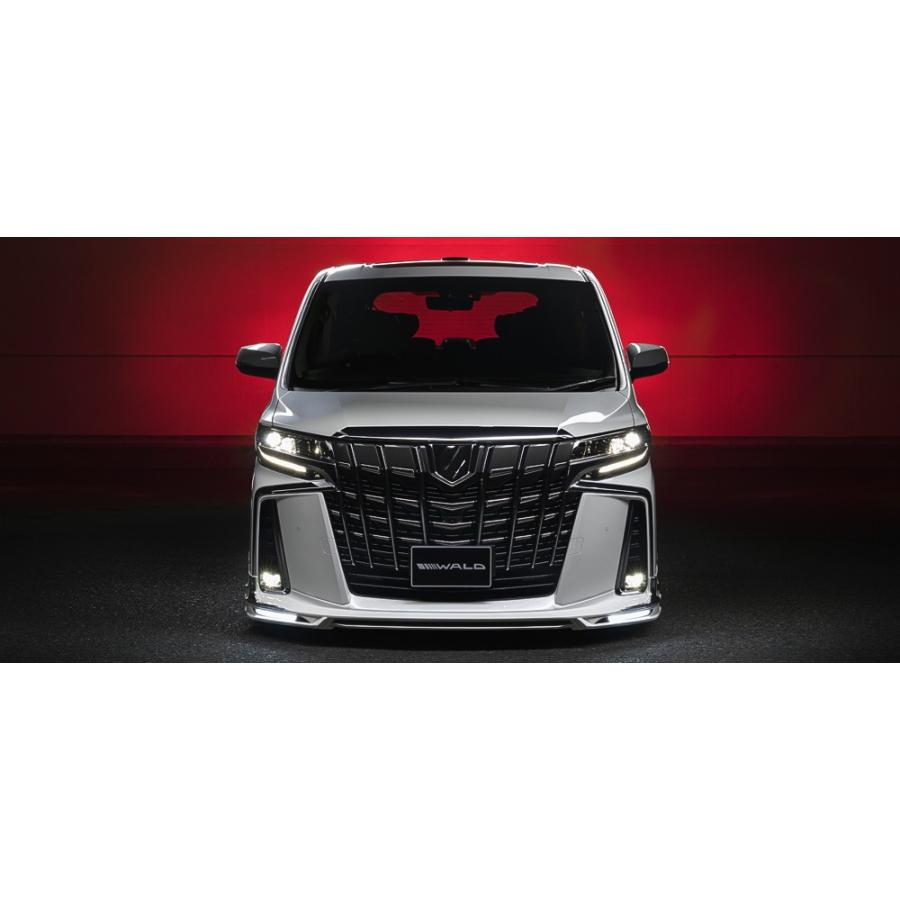 WALD/ヴァルド（EXECUTIVE LINE）【フロントスポイラー※ABS製】30