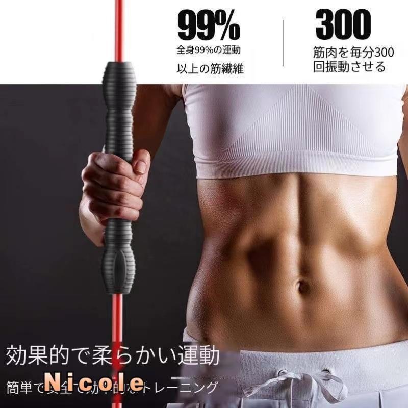 エアロバー エクササイズ フィットネス トレーニング 筋トレ エアロバー エクササイズ フィットネス トレーニング 筋トレ