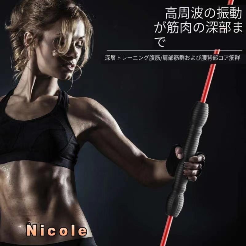 エアロバー エクササイズ フィットネス トレーニング 筋トレ エアロバー エクササイズ フィットネス トレーニング 筋トレ
