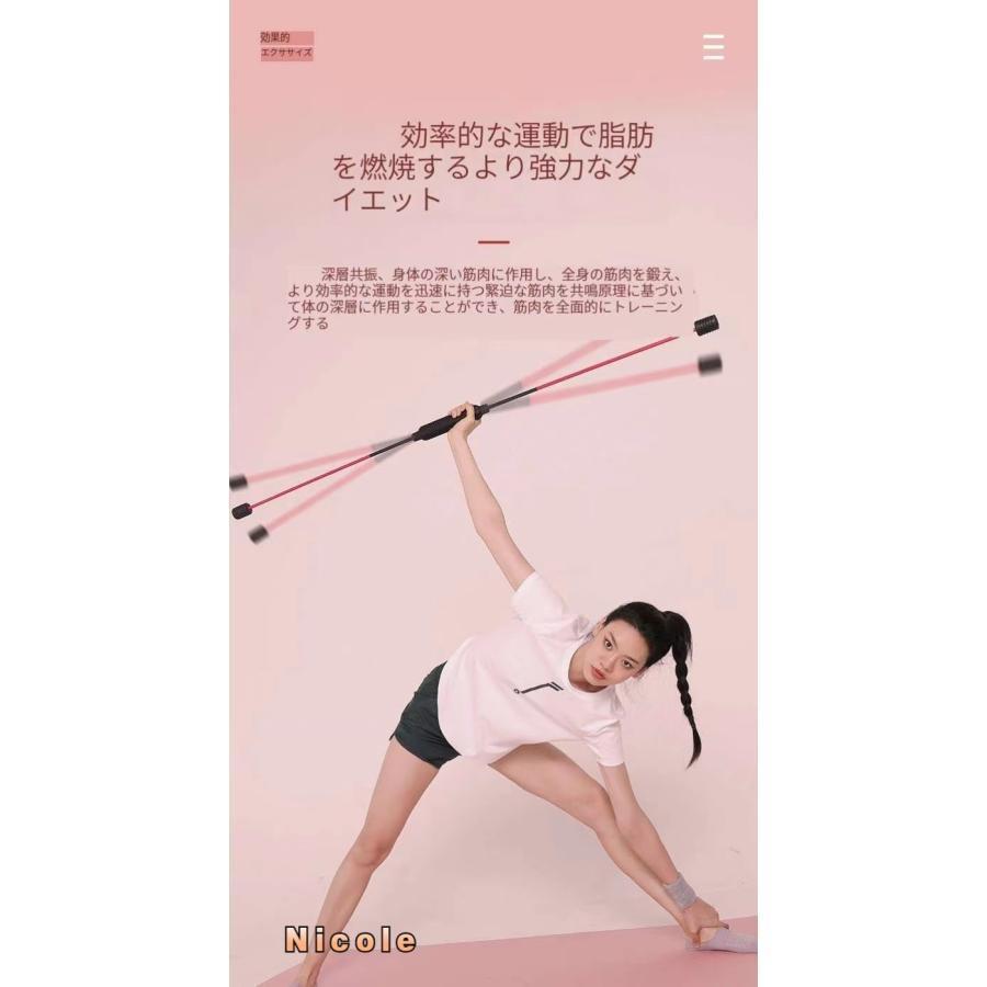 エアロバー エクササイズ フィットネス トレーニング 筋トレ エアロバー エクササイズ フィットネス トレーニング 筋トレ