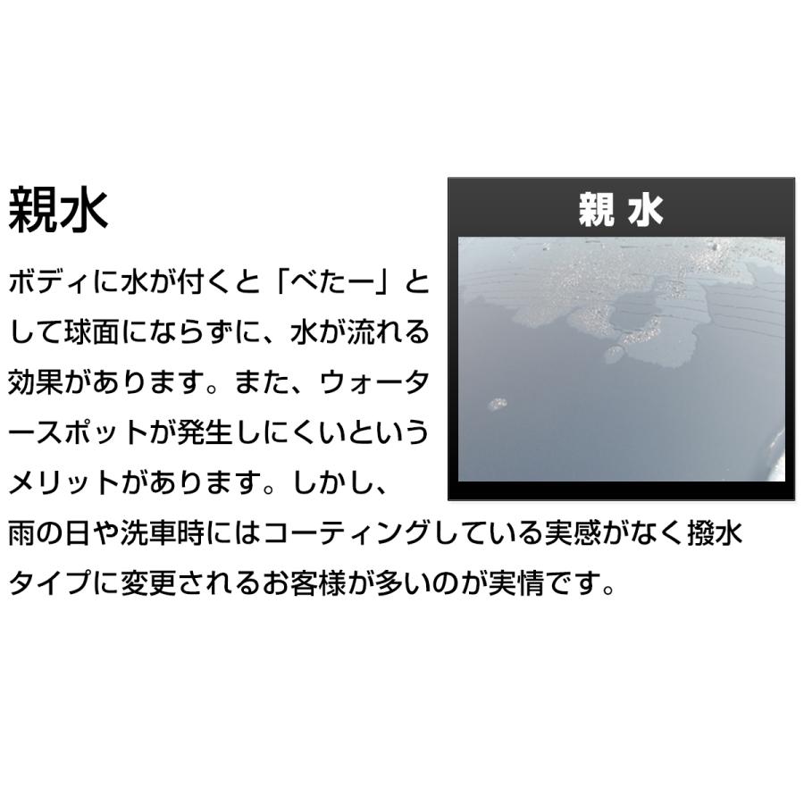 ガラスコーティング剤 SG-MAX お試し100ml  車 スマホ 業務用 水回り 水まわり 掃除 洗面台 |  | 12