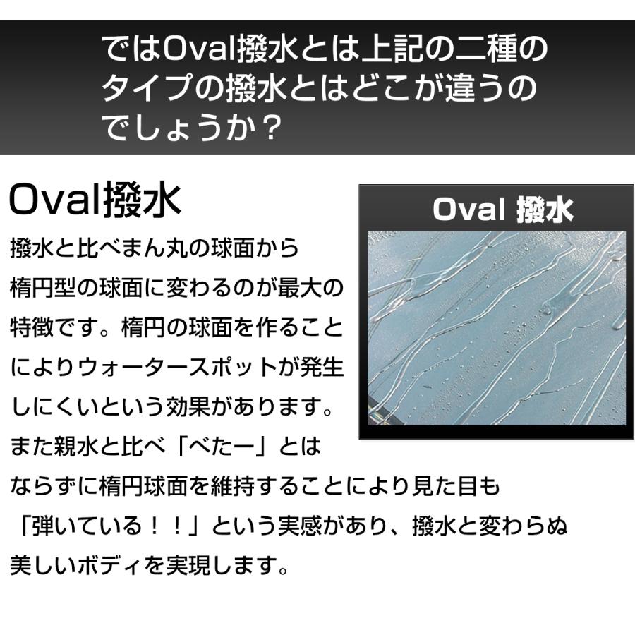 ガラスコーティング剤 SG-MAX お試し100ml  車 スマホ 業務用 水回り 水まわり 掃除 洗面台 |  | 13