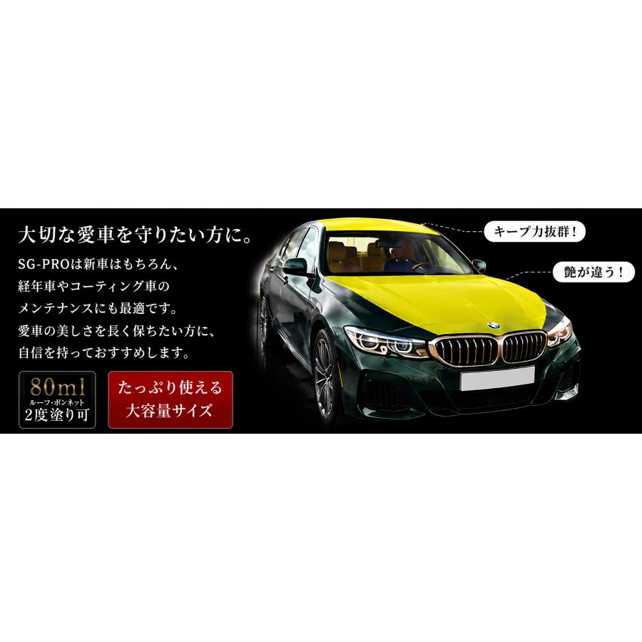 ガラスコーティング剤 車 【SG-PRO】 5年耐久 硬化型 プロ仕様 業務用