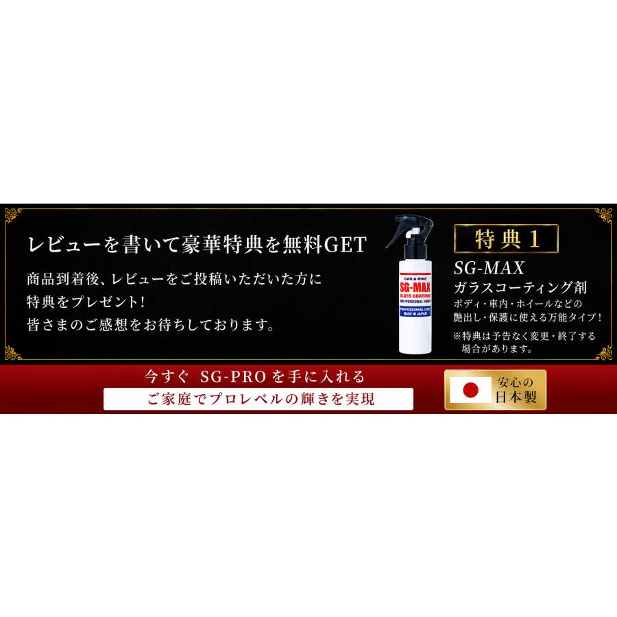 ガラスコーティング剤 車 【SG-PRO】 5年耐久 硬化型 プロ仕様 業務用