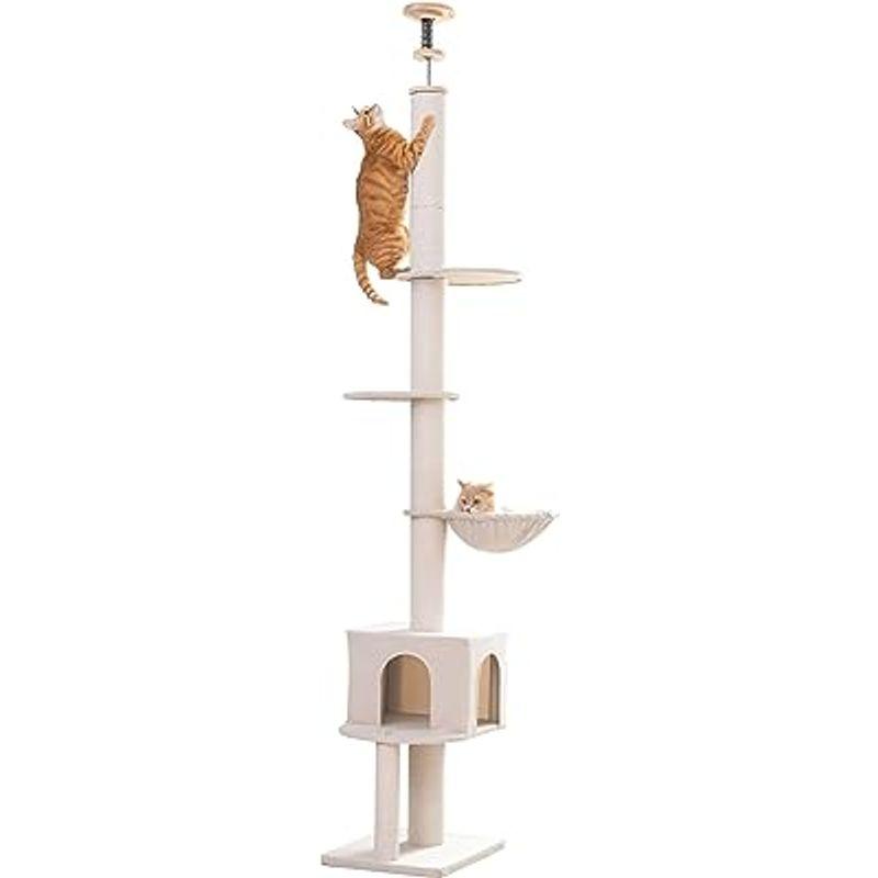 lifesia キャットタワー 猫ツリー 突っ張り 省スペース 猫ハウス ハンモック付 綿ロープ 綿紐 つめとぎ 安定性 運動不足解消 スト キャットタワー 猫ツリー 突っ張り 省スペース 猫ハウス ハンモック付 綿ロープ 綿紐 つめとぎ 安定性 運動不足解消 スト