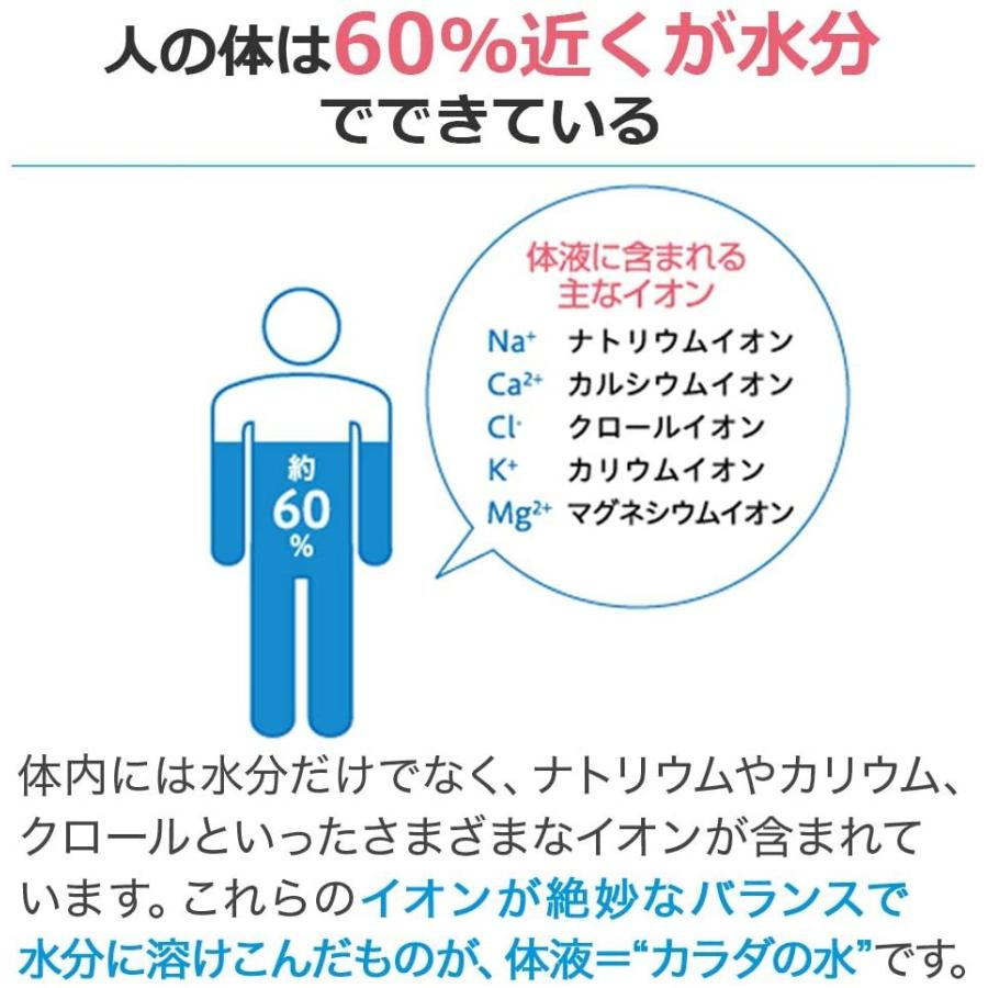 ポカリスエット 大塚製薬 ポカリスウェット パウダー 粉末 1L用 (74g x