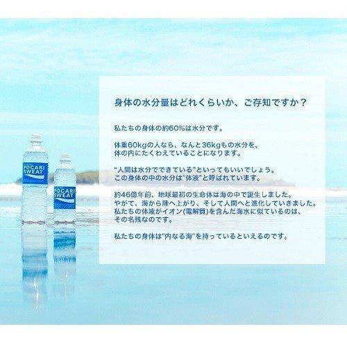 ポカリスエット 大塚製薬 ポカリスウェット パウダー 粉末 1L用 (74g x