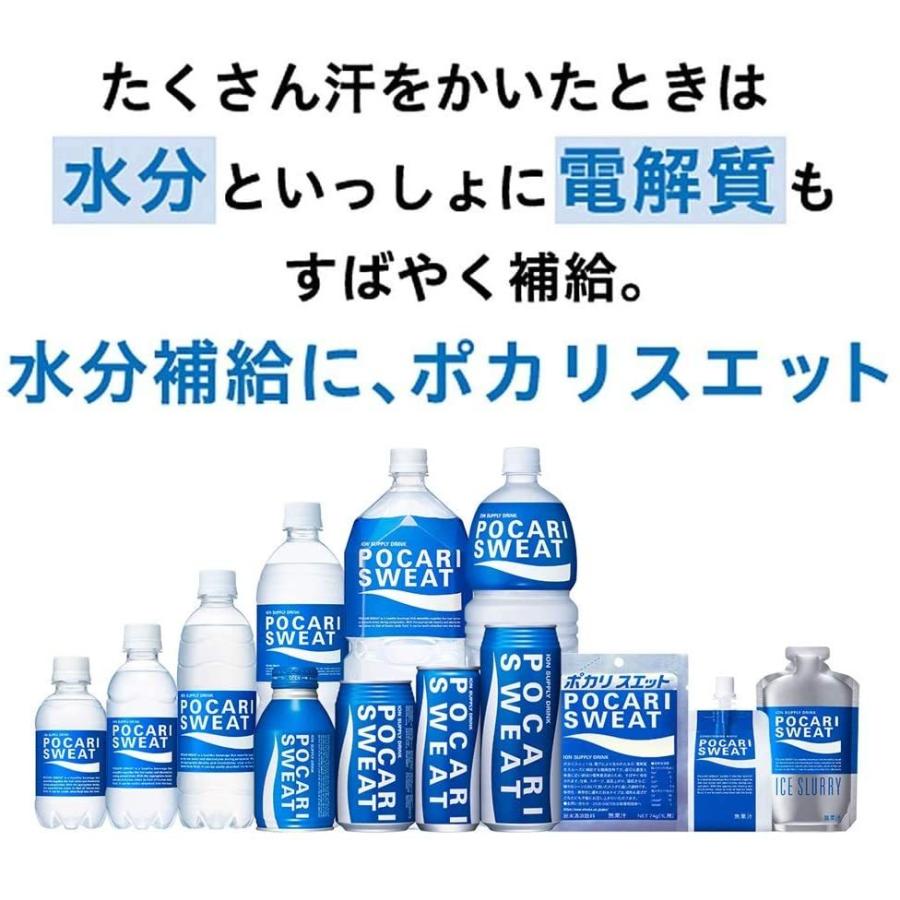 ポカリスエット 大塚製薬 ポカリスウェット パウダー 粉末 1L用 (74g x