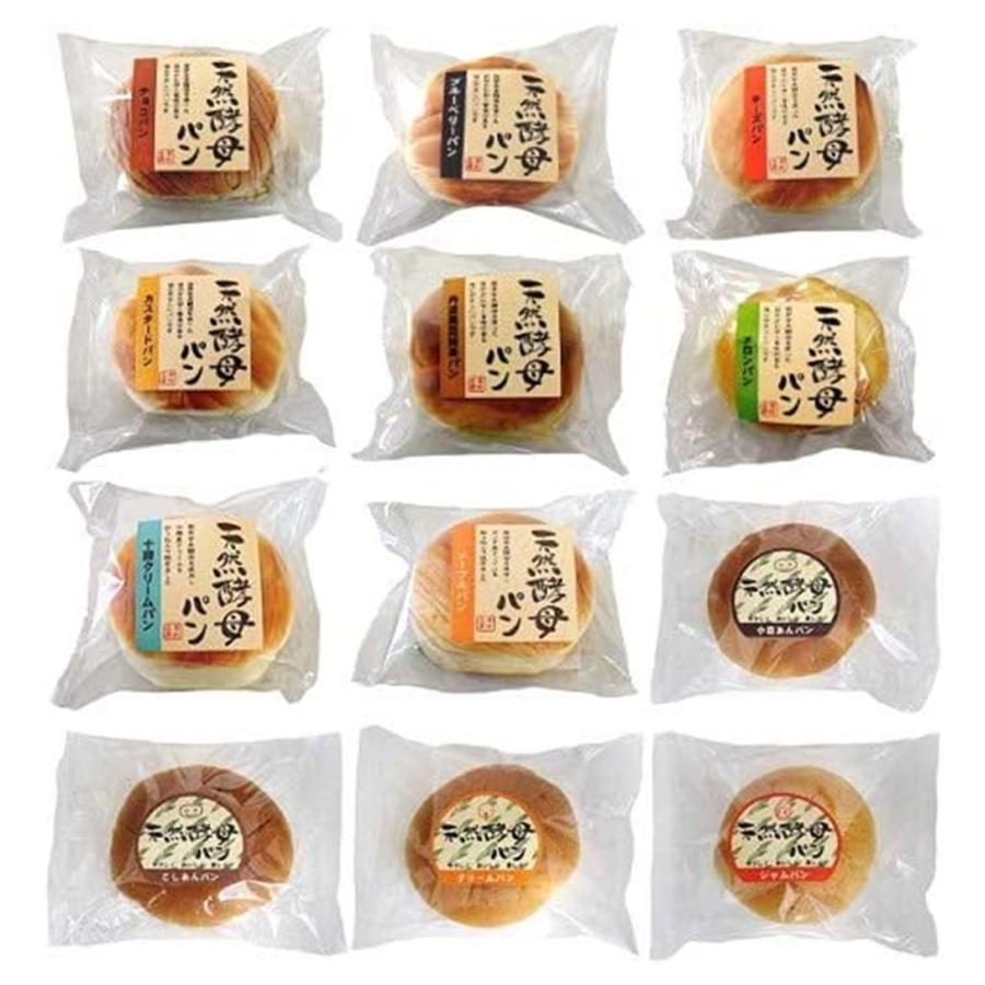 天然酵母パン成功の秘訣 手づくり新食感そとカリ!なかフワ! 天然酵母パン成功の秘訣 手づくり新食感そとカリ!なかフワ! 天然