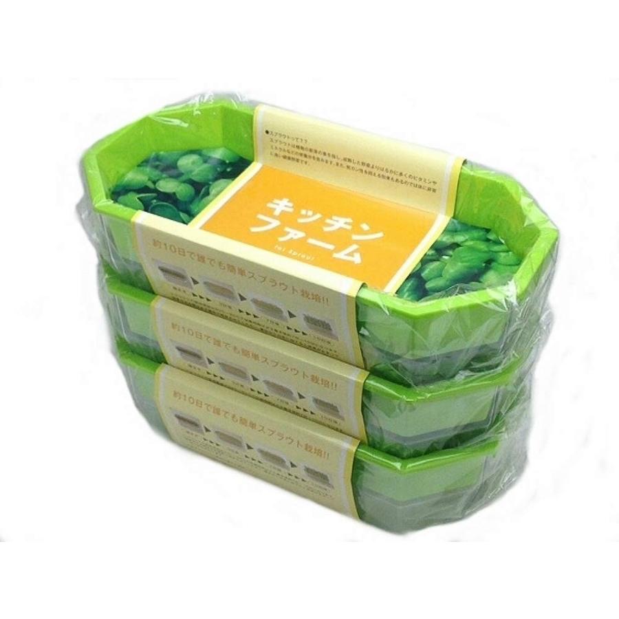 56 Off ブロッコリースプラウト栽培容器 大3ヶセット Wantannas Go Id