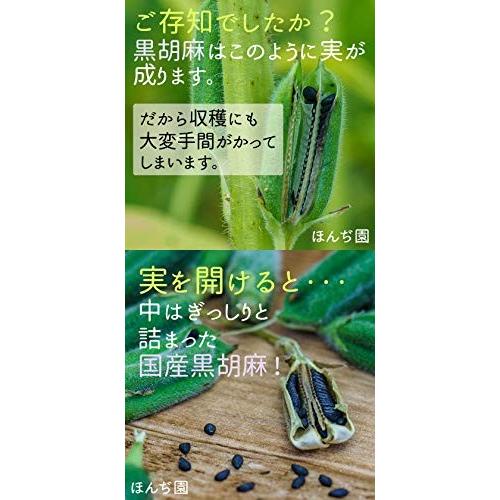 国産 黒胡麻麦茶 ティーパック 大容量 Honjien tea ほんぢ園 健康茶 5g×50包｜sh-price｜05