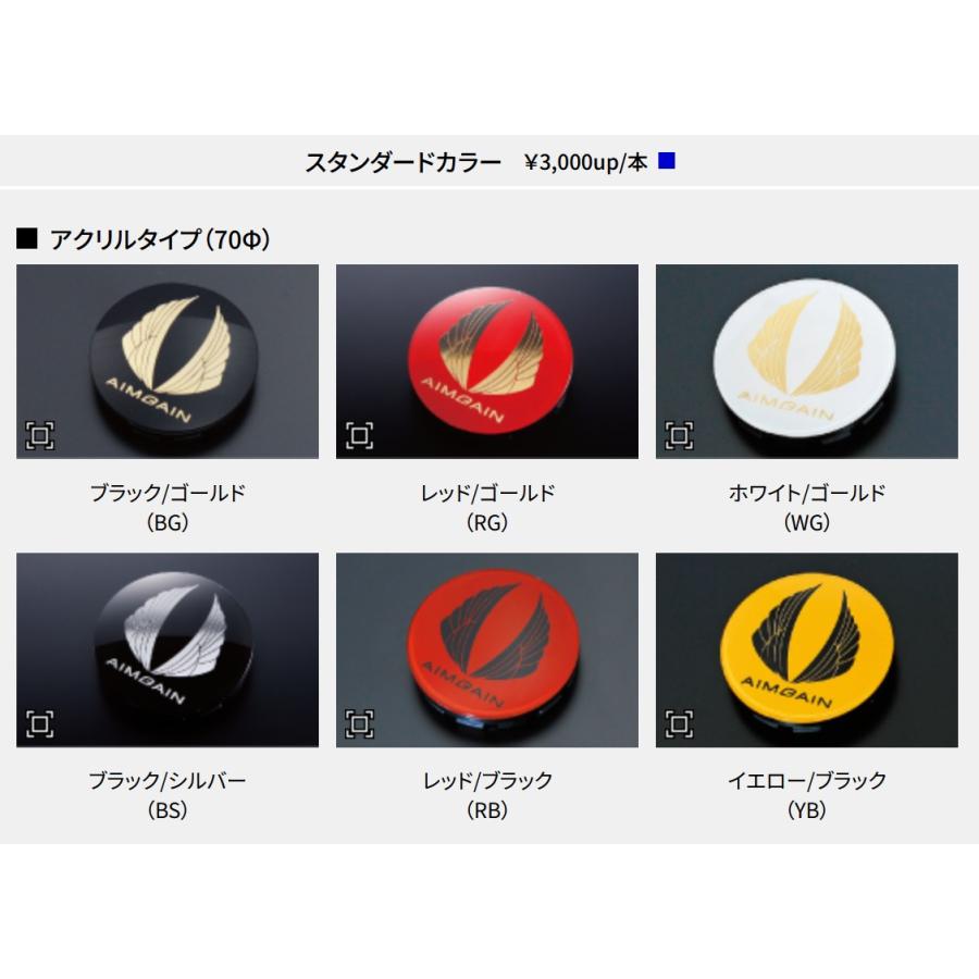 250系ランドクルーザー/300系ランドクルーザー/GX550/LX600