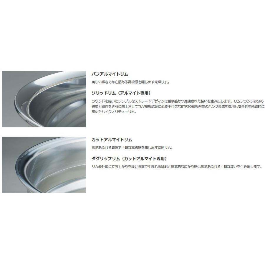 アミスタット ライエンC010 21インチ 【厳選輸入245/35R21ホイールタイヤセット】 20系/30系アルファード・ヴェルファイアに最適 〈タイヤ銘柄選べます！〉の画像