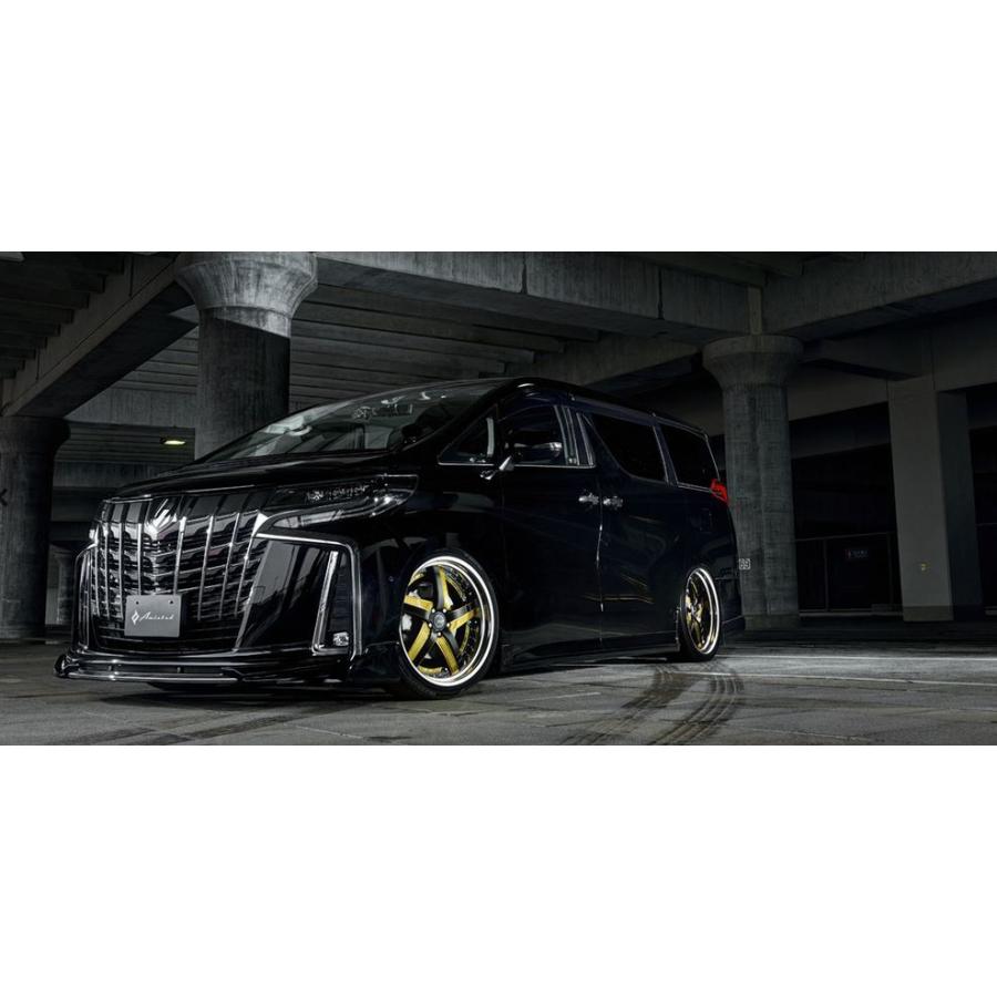 アミスタット ライエンC010 21インチ 【厳選輸入245/35R21ホイールタイヤセット】 20系/30系アルファード・ヴェルファイアに最適 〈タイヤ銘柄選べます！〉の画像