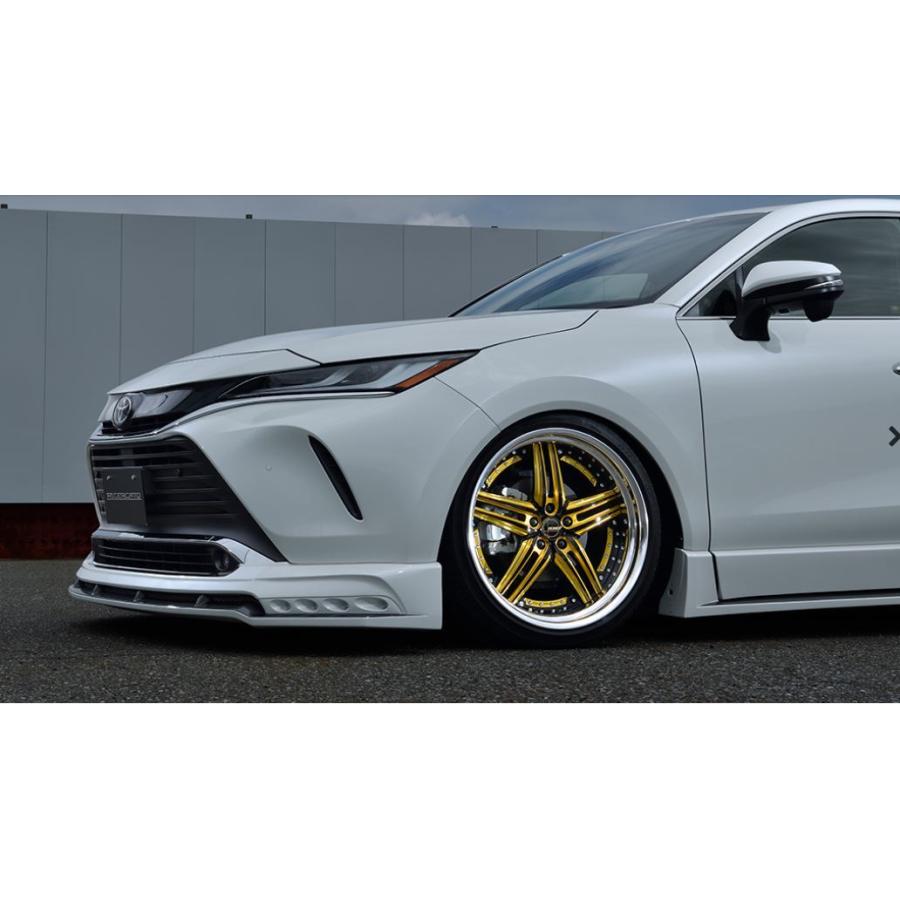 アミスタット ライエンS05 21インチ 【厳選輸入245/35R21 アミスタット ライエンS05 21インチ 【厳選輸入245/35R21