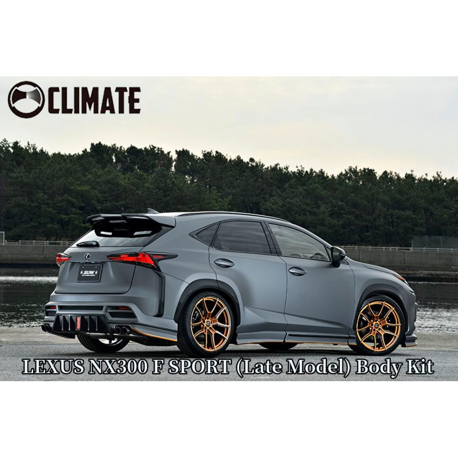 NX300後期Fスポーツ リアハーフスポイラー未塗装 LEDバックランプ10P