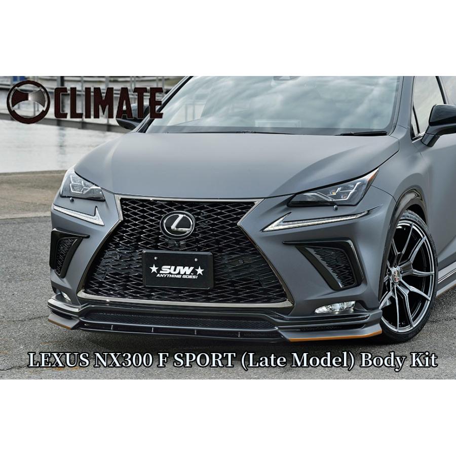 NX300後期Fスポーツ リアハーフスポイラー未塗装 LEDバックランプ10P