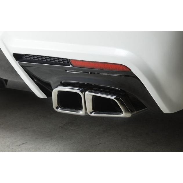 ダイナスティ(Dynasty) EXIST EVO タイプIV エクジスト専用マフラー