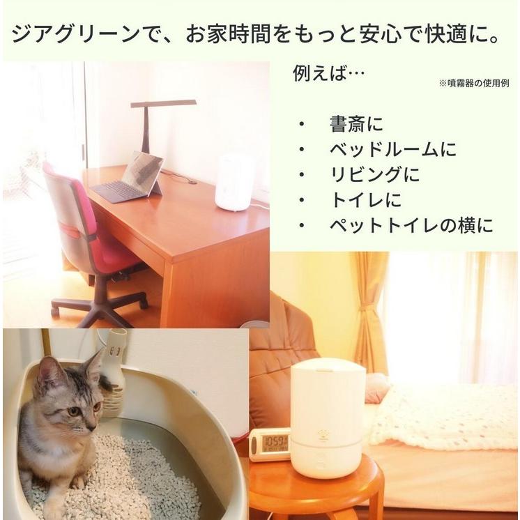 【今大活躍‼️】グリーンウェル ジアグリーン  超微粒子噴霧器 非電離型微酸性水溶液空間噴霧器 ジアグリーンCoffret（コフレ