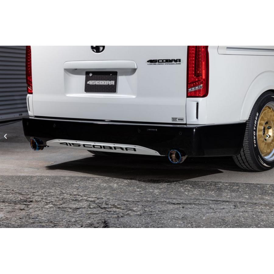 クリーンルック2リアバランサー【ハニカムカーボン/綾織り