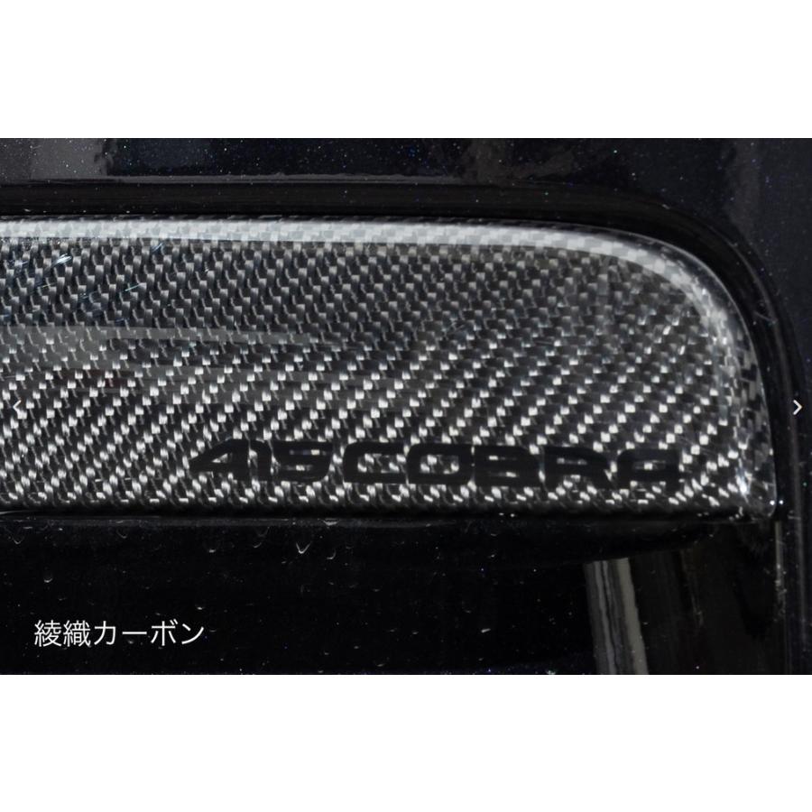ローフォルムフェンダートリム【ハニカムカーボン/綾織りカーボン】200