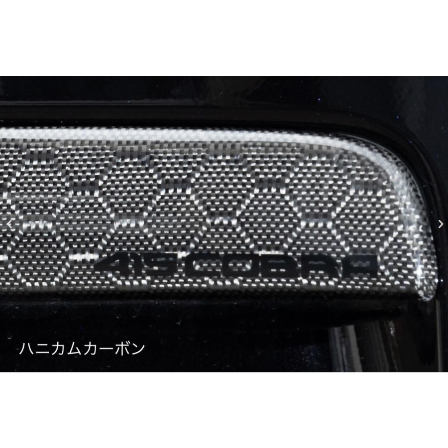 ローフォルムフェンダートリム【ハニカムカーボン/綾織りカーボン】200