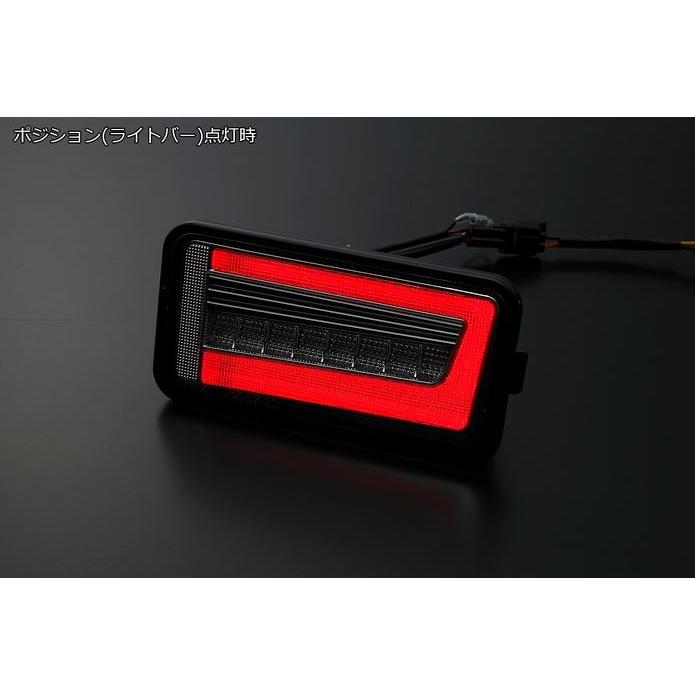 ライツ(REIZ) 流星バージョンLEDテールレンズVer2+LEDバックランプ