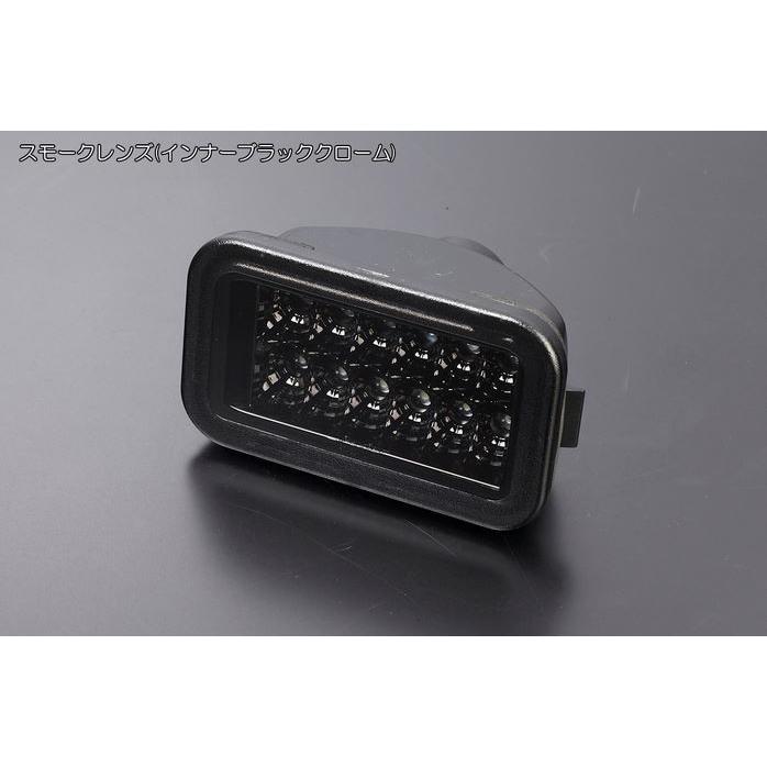 ライツ(REIZ) 流星バージョンLEDテールレンズVer2+LEDバックランプ