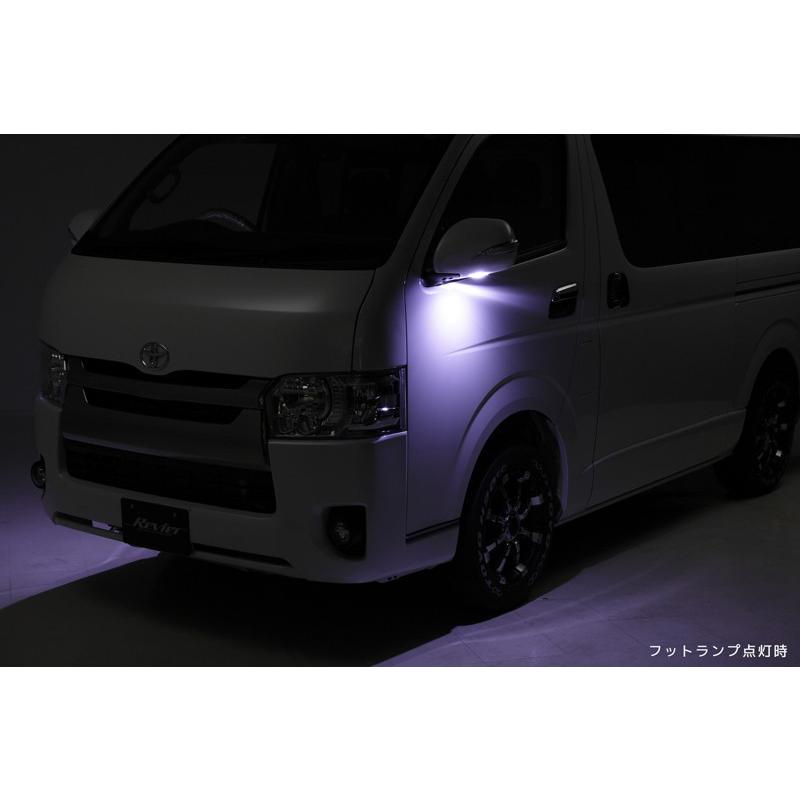 レヴィーア(Revier) 流星バージョン 【タイプLS】LEDウインカー