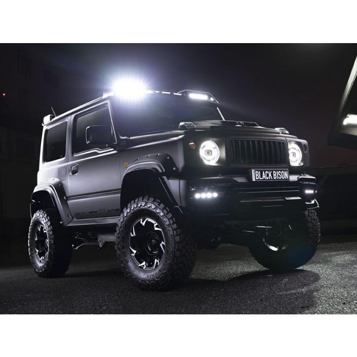 WALD(ヴァルド) SPORTS LINE BLACK BISON EDITION オーバーフェンダー