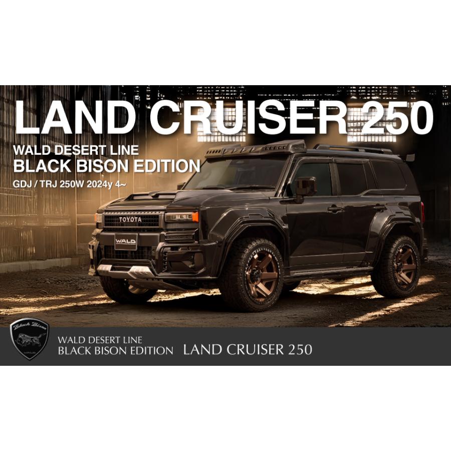 250系ランドクルーザー サイドスカート&オーバーフェンダーキット未