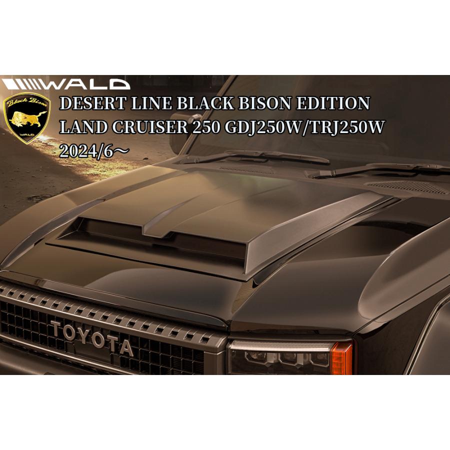 イノセントワールド　ボンネット　ブラック Anniversary Bonnet (2023) by Innocent World