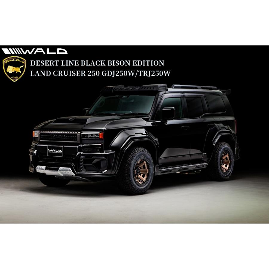 250系ランドクルーザー ヒッチメンバータイプ1(タイトジャパン製