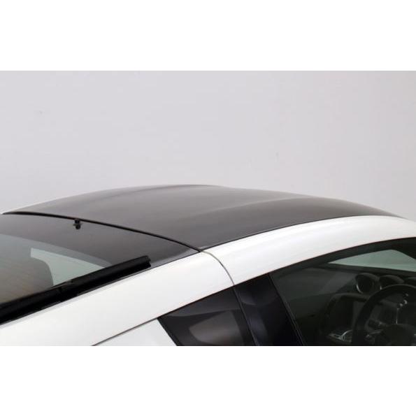 ウェバースポーツ WEBERSPORTS ZENITH LINEルーフパネル(カーボン) Z34