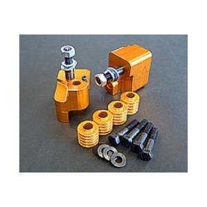 キャンセル不可商品】 ユージーランドボディ youzealandbody SSキット