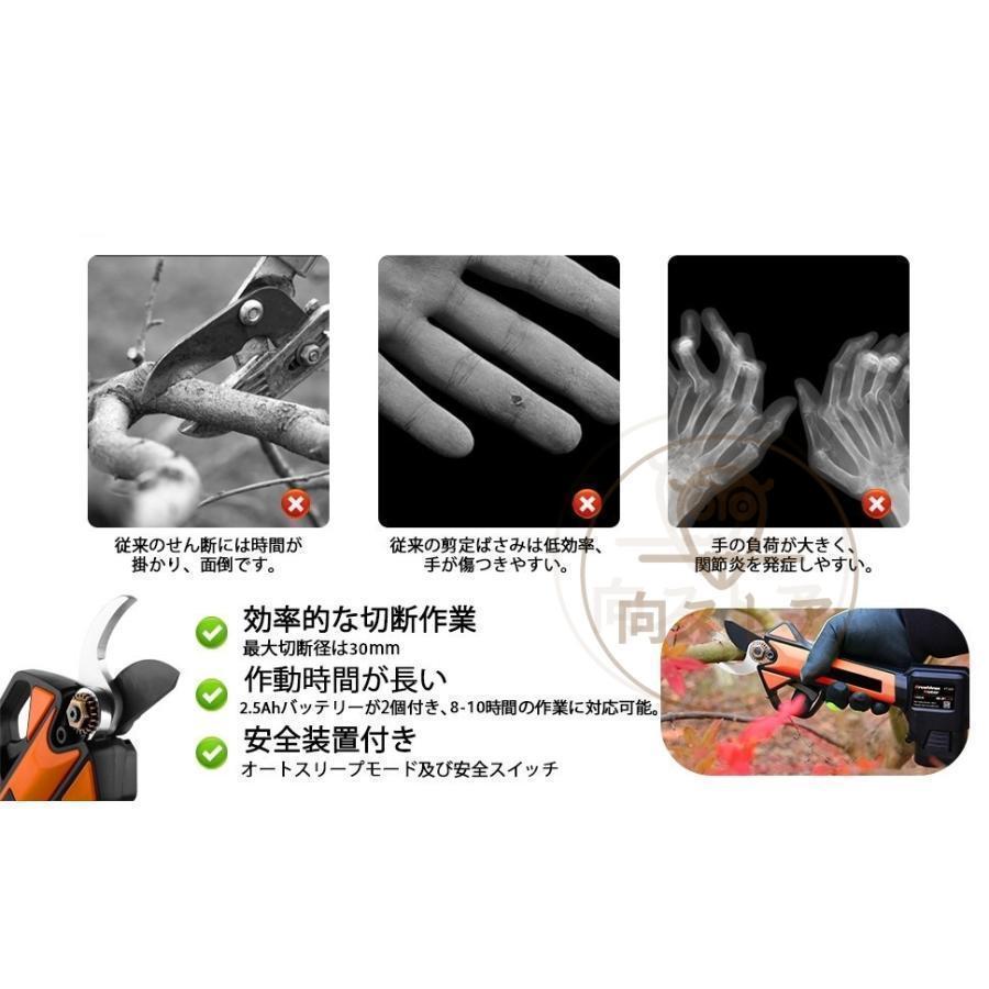電動剪定バサミ テフロン非粘着性コーディング刃 16.8V コードレス 充電式剪定ばさみ 軽さ・スピード・切れ味の頂点機種 電動枝切り鋏 持ち運び便利 プロ剪定鋏 