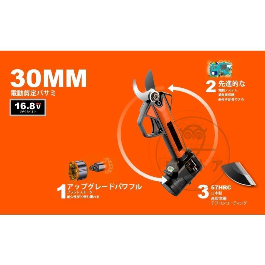 電動剪定バサミ テフロン非粘着性コーディング刃 16.8V コードレス 充電式剪定ばさみ 軽さ・スピード・切れ味の頂点機種 電動枝切り鋏 持ち運び便利 プロ剪定鋏 
