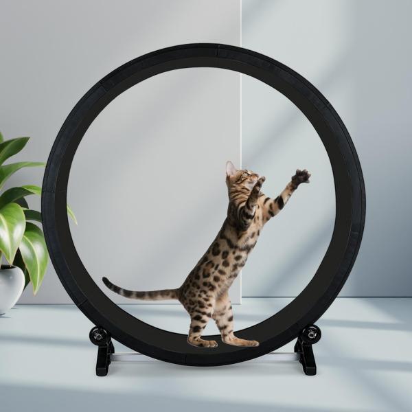 キャット ランニング ホイール スクラッチャー ボード ミュート トレーナー 子猫 トレーニング キティ用 キャット ランニング ホイール スクラッチャー ボード ミュート トレーナー 子猫 トレーニング キティ用
