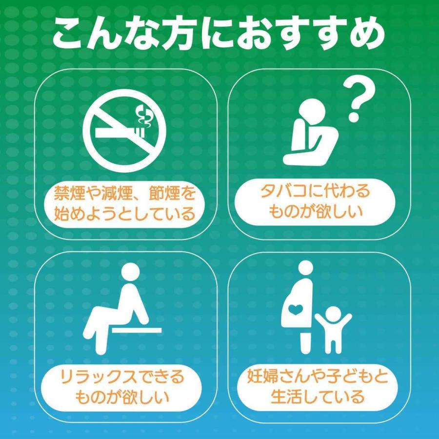 The Third ザサード ニコチン0 ニコチンゼロ スティック 茶葉 10 The Third ザサード ニコチン0 ニコチンゼロ スティック 茶葉 10