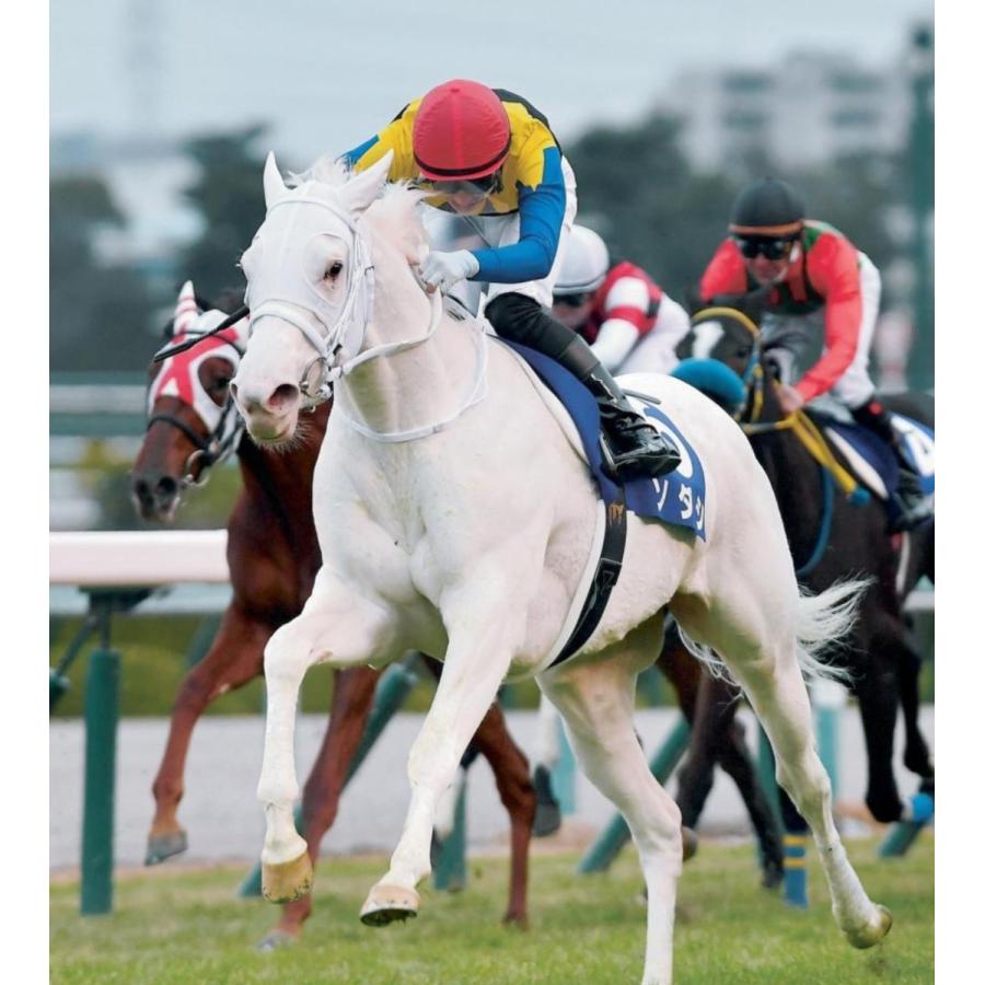 ブランド品専門の ソダシ ぬいぐるみ マスコットサイズ アイドルホース 第81回桜花賞 Aynaelda Com